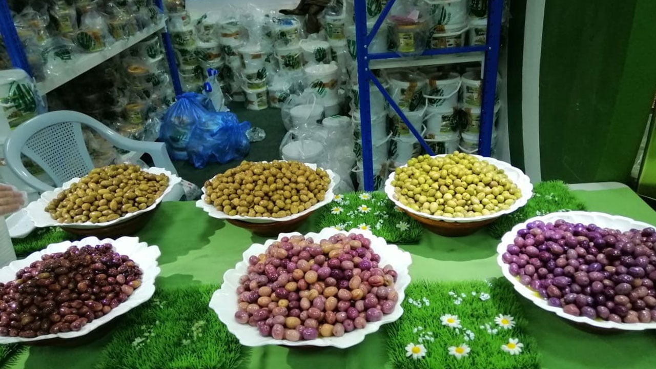 مبيعات مهرجان الزيتون الأول بالباحة تقترب من نصف مليون ريال