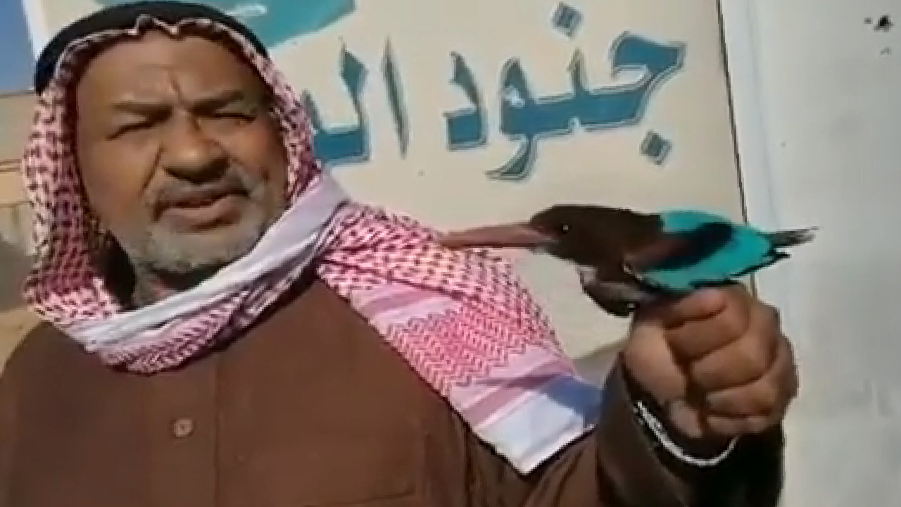 بالفيديو.. مواطن يطلق سراح طائر الرفراف المهاجر.. و«الحياة الفطرية» تشيد بتصرفه