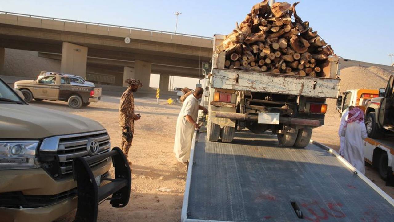 ضبط شاحنة محملة بالحطب المحلي على طريق الساحل الغربي بالمدينة المنورة
