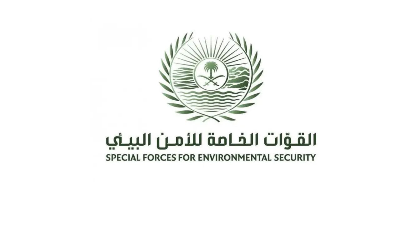 أعلن الغرامة المالية.. الأمن البيئي: 4 «احتياطات» عند إشعال النار بالمتنزهات