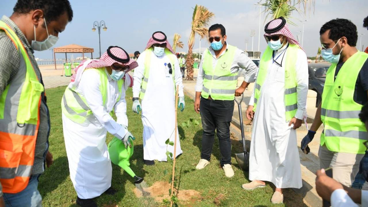 بالصور.. أمانة جازان تشارك في اليوم العالمي للتطوع