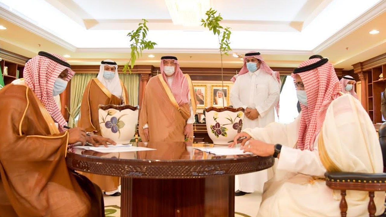نجاح مشروع إدخال زراعة أشجار العود والصندل في جبال جازان