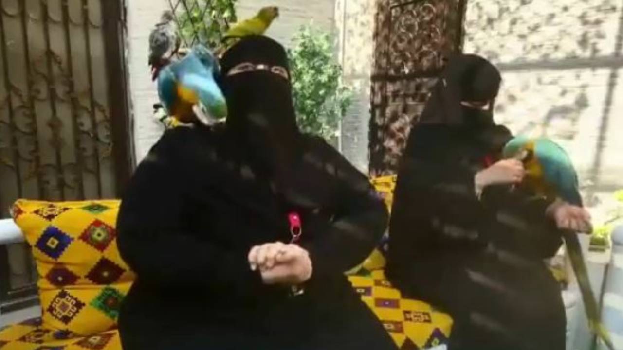 قصة «أم محمد».. سعودية تؤسس فندقًا وفريقًا نسائيًّا للعناية بالطيور الناطقة