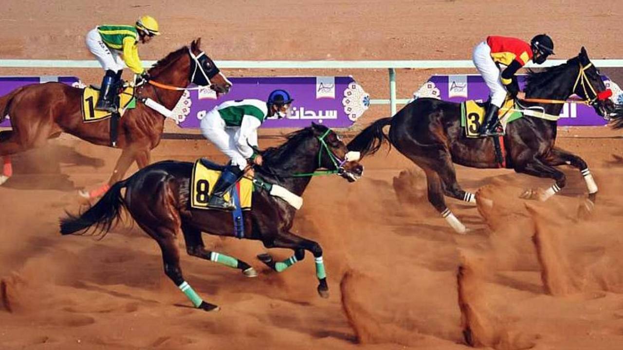ميدان الفروسية يتوج أبطال السباق الـ12 في حائل