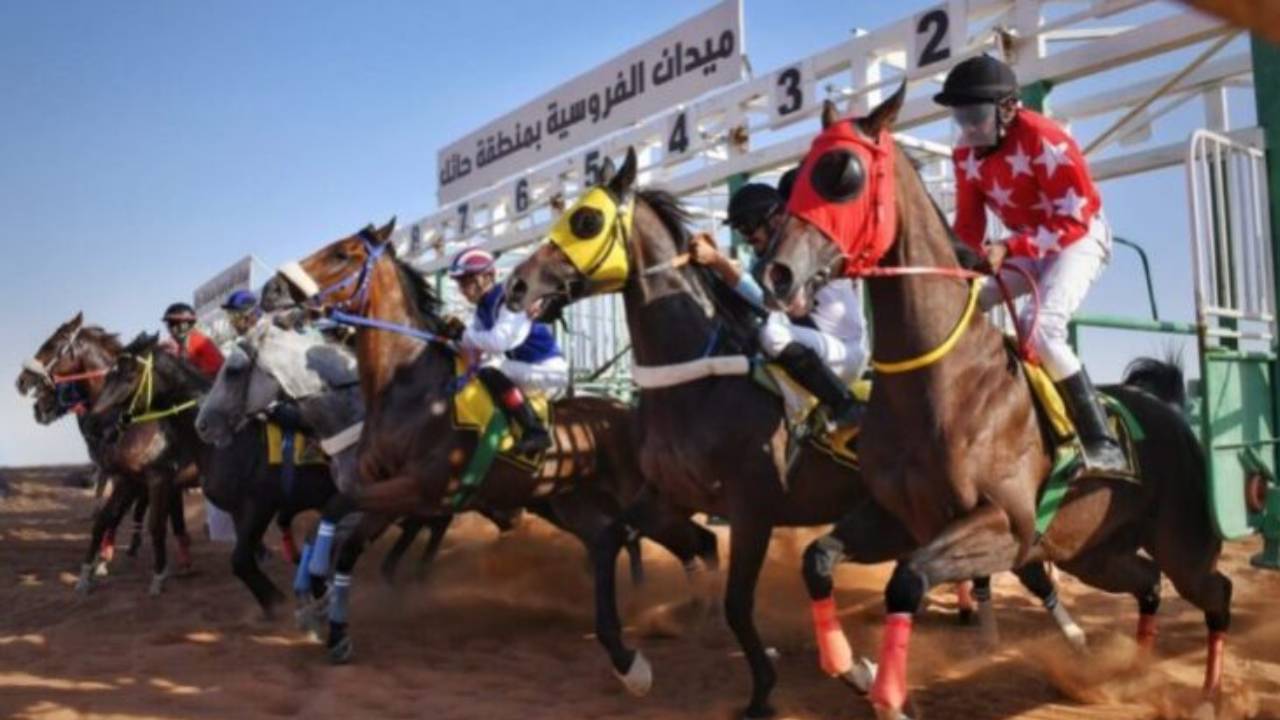 بمشاركة 57 جوادًا.. ميدان الفروسية بحائل ينظّم حفل سباقه الرابع غدًا