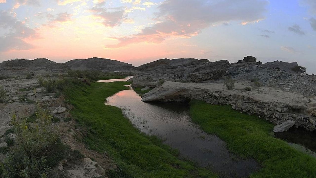 بالصور.. الخضرة والماء يرسمان جمال الطبيعة في أودية عسير