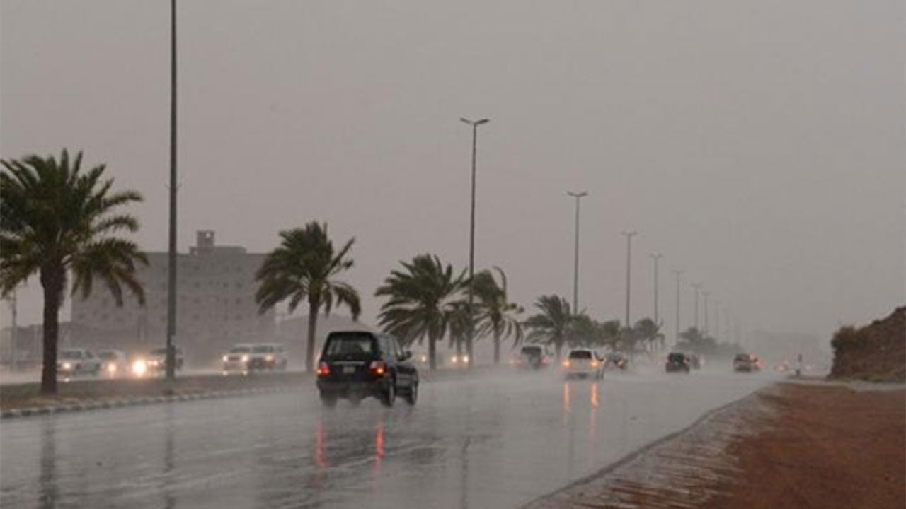 شاهد.. أمطار رعدية غزيرة على الليث

