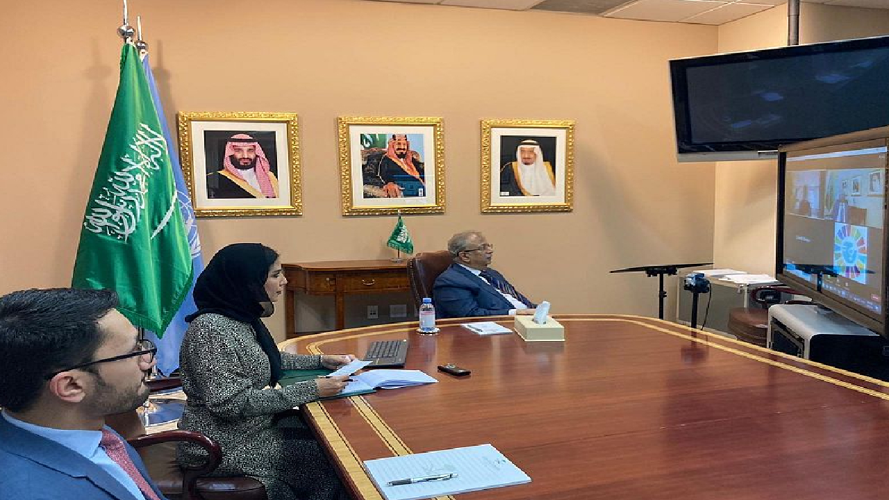 ملف «المرأة» يتصدر لقاء مندوب السعودية بالأمم المتحدة مع «أوسا ريجنير»