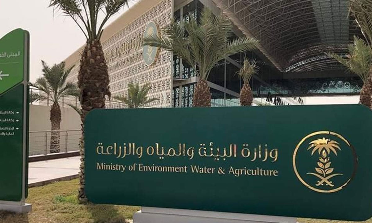 11 شرطًا للحصول على إعانة «البيئة» لدعم صغار مربي الماشية