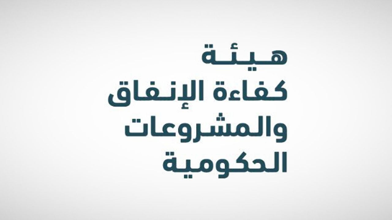 «كفاءة المشروعات».. 5 أسس لبرنامج ركائز استدامة كفاءة الإنفاق