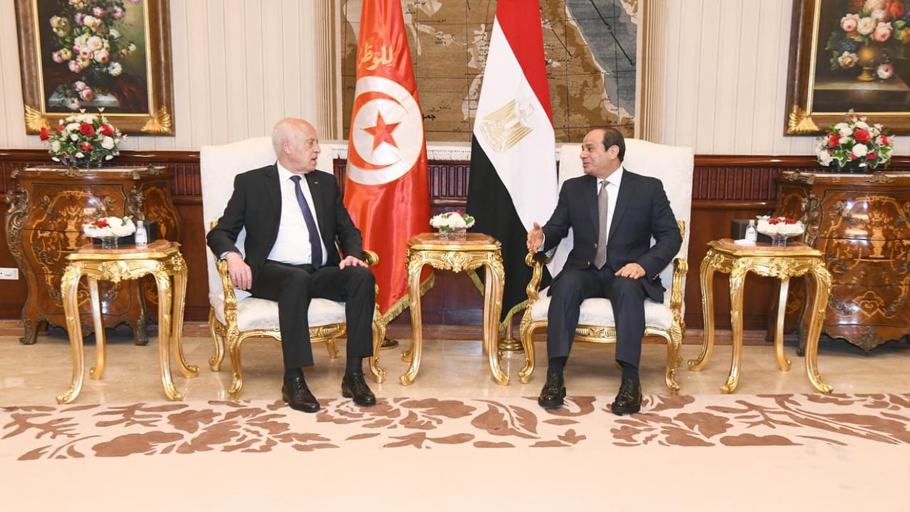 الرئيس المصري ونظيره التونسي يتفقان على ضرورة إخراج المرتزقة من ليبيا