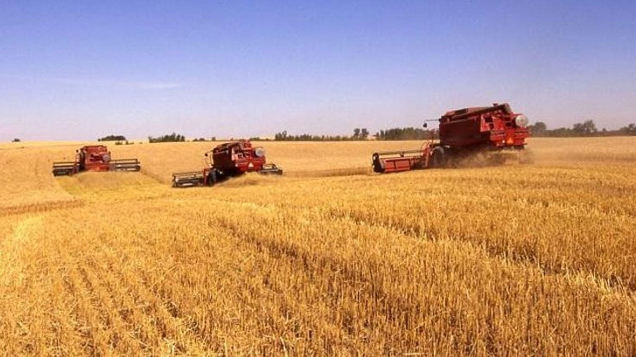 روسيا تخطط لزيادة احتياطي الحبوب إلى 3 ملايين طن