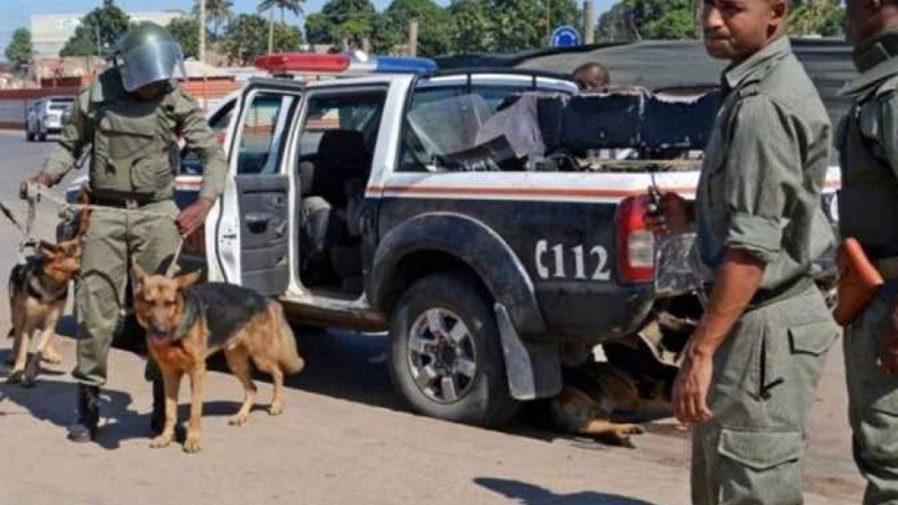 مقتل 31 شخصًا وإصابة 42 في تصادم حافلة بشاحنتين في موزمبيق