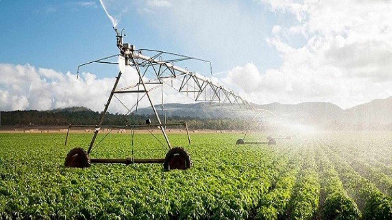 صندوق التنمية الزراعية: 3 حوافر للشركات المدرجة بالسوق المالية