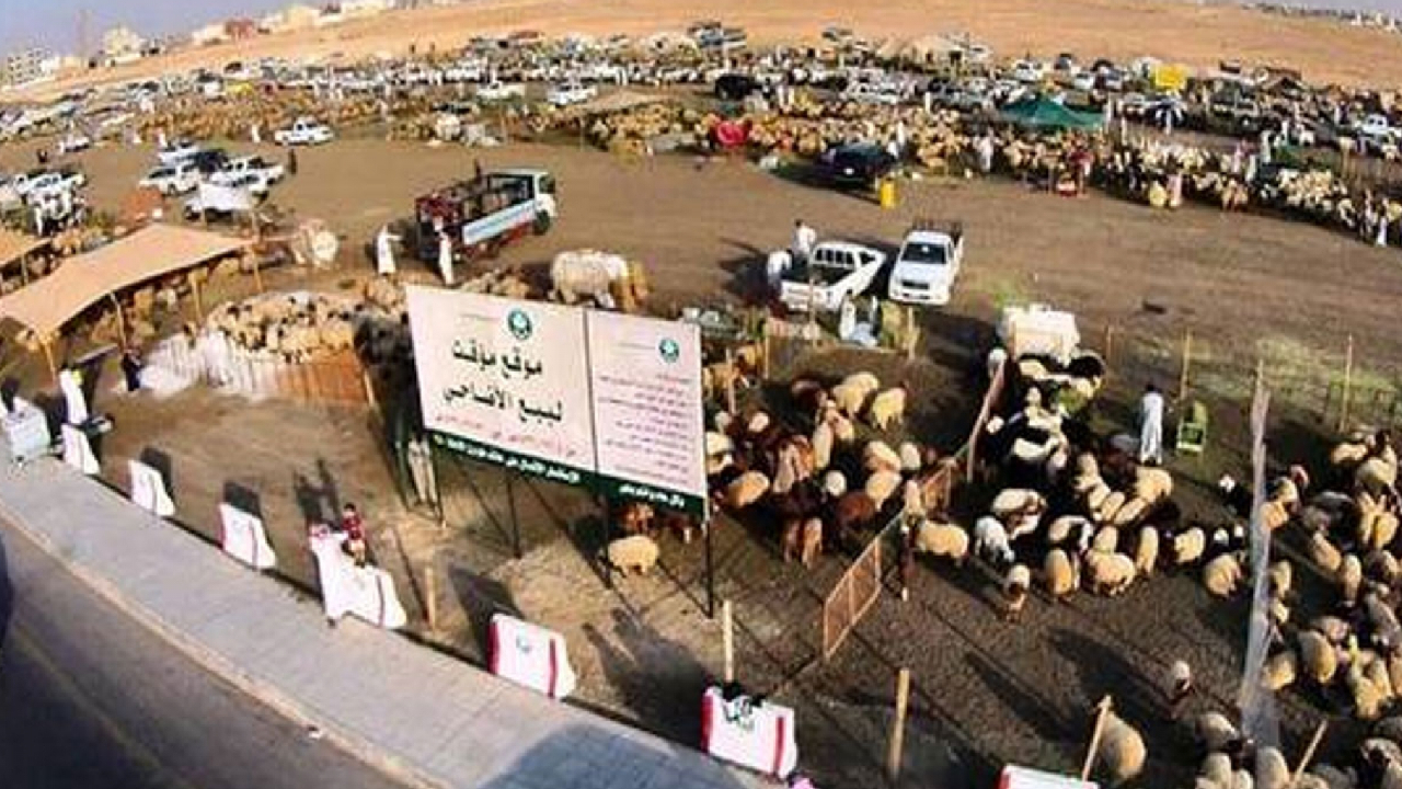 أمانة الرياض تحدد 5 إجراءات احترازية في مواقع بيع الأضاحي