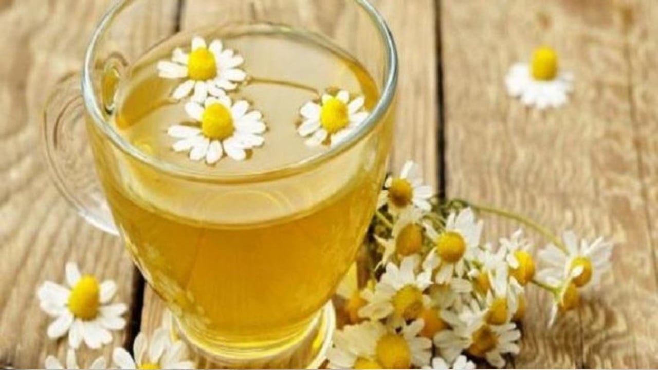 6 فوائد مهمة لزيت البابونج تحافظ على البشرة وتحميها