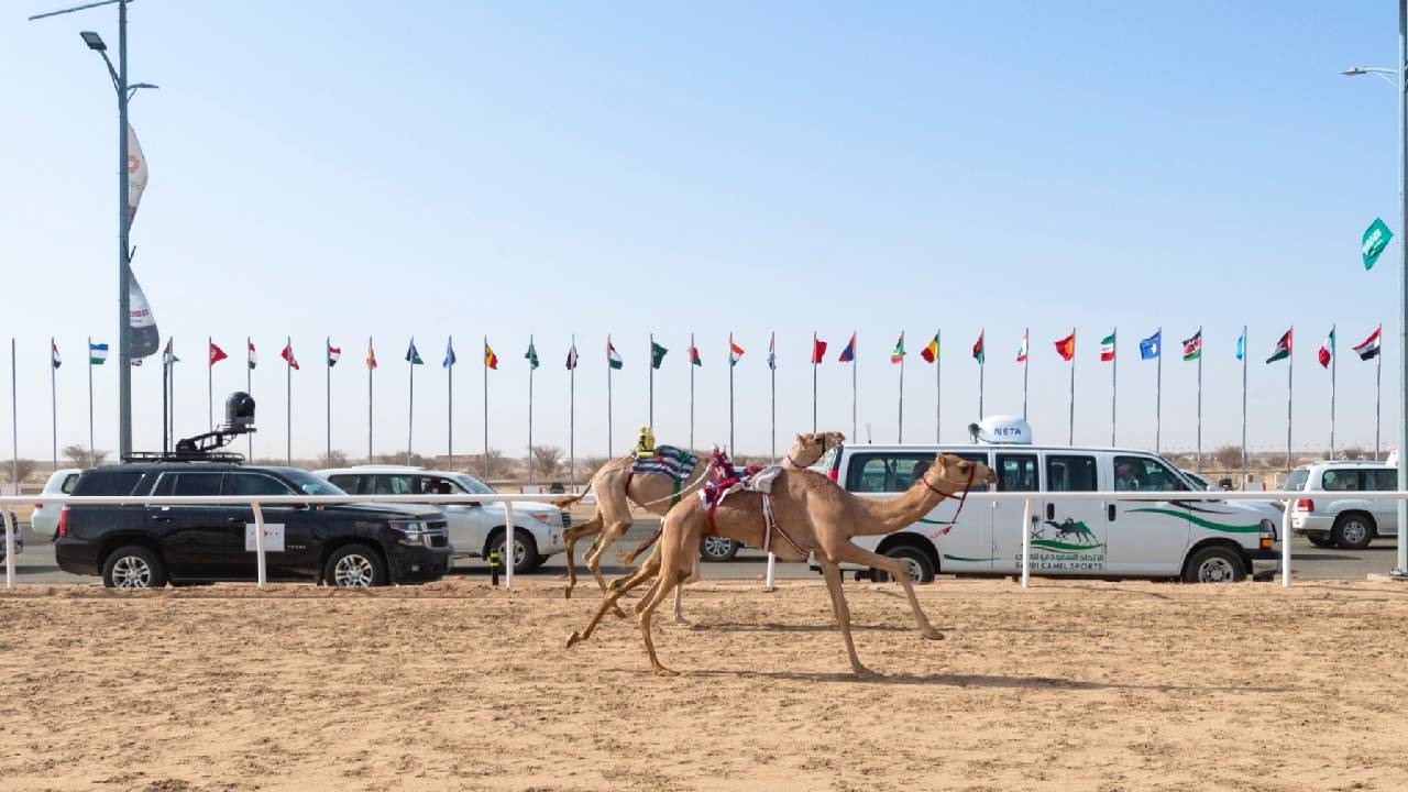 «هلال» تنتزع صدارة تاسع أيام مهرجان ولي العهد للهجن