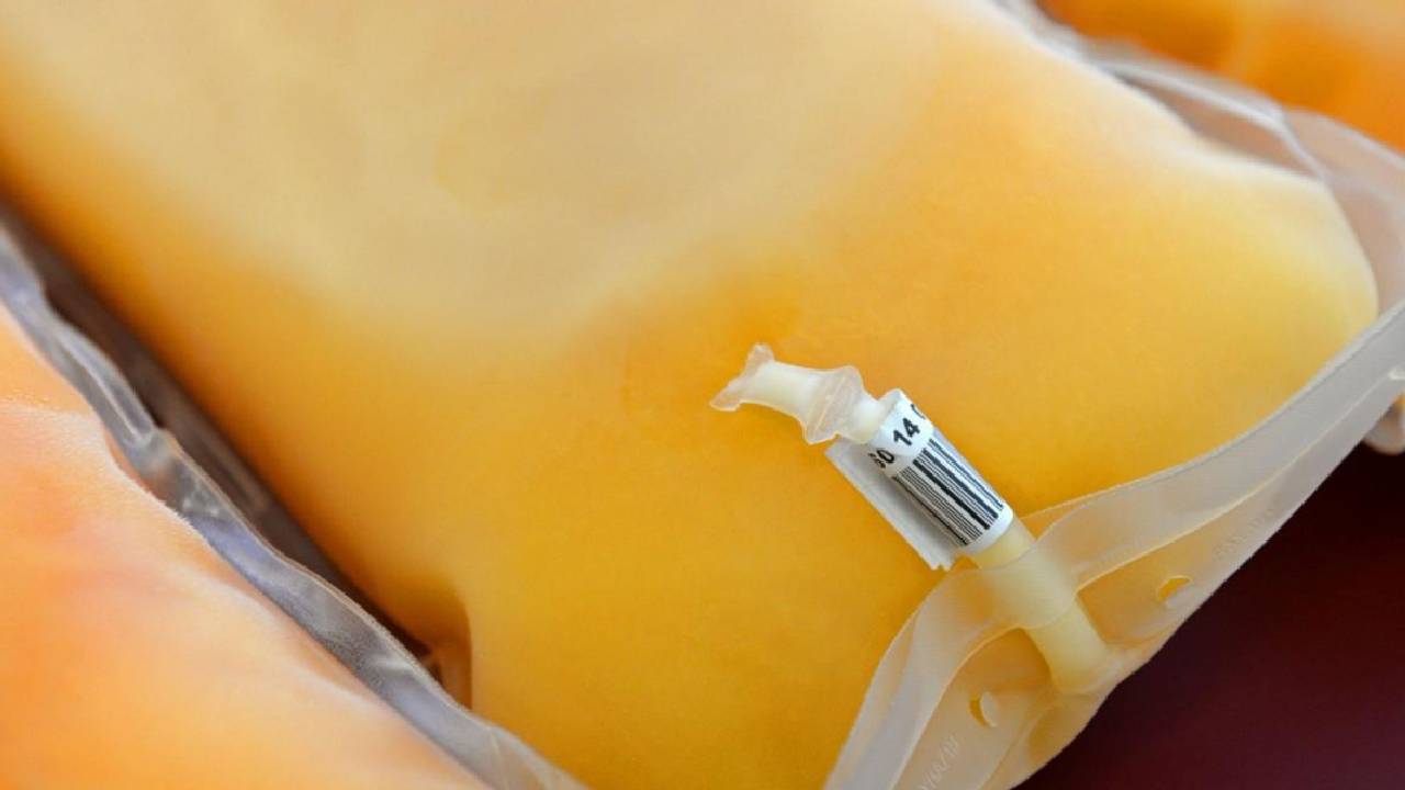 طريقتان لسحب بلازما الدم من الجسم.. و6 شروط للتبرع بها
