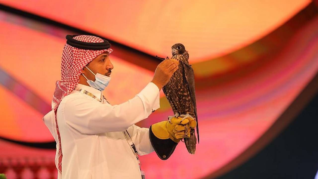منافسة قوية في المزاد الدولي لمزارع إنتاج الصقور للظفر بصقر بـ64 ألف ريال