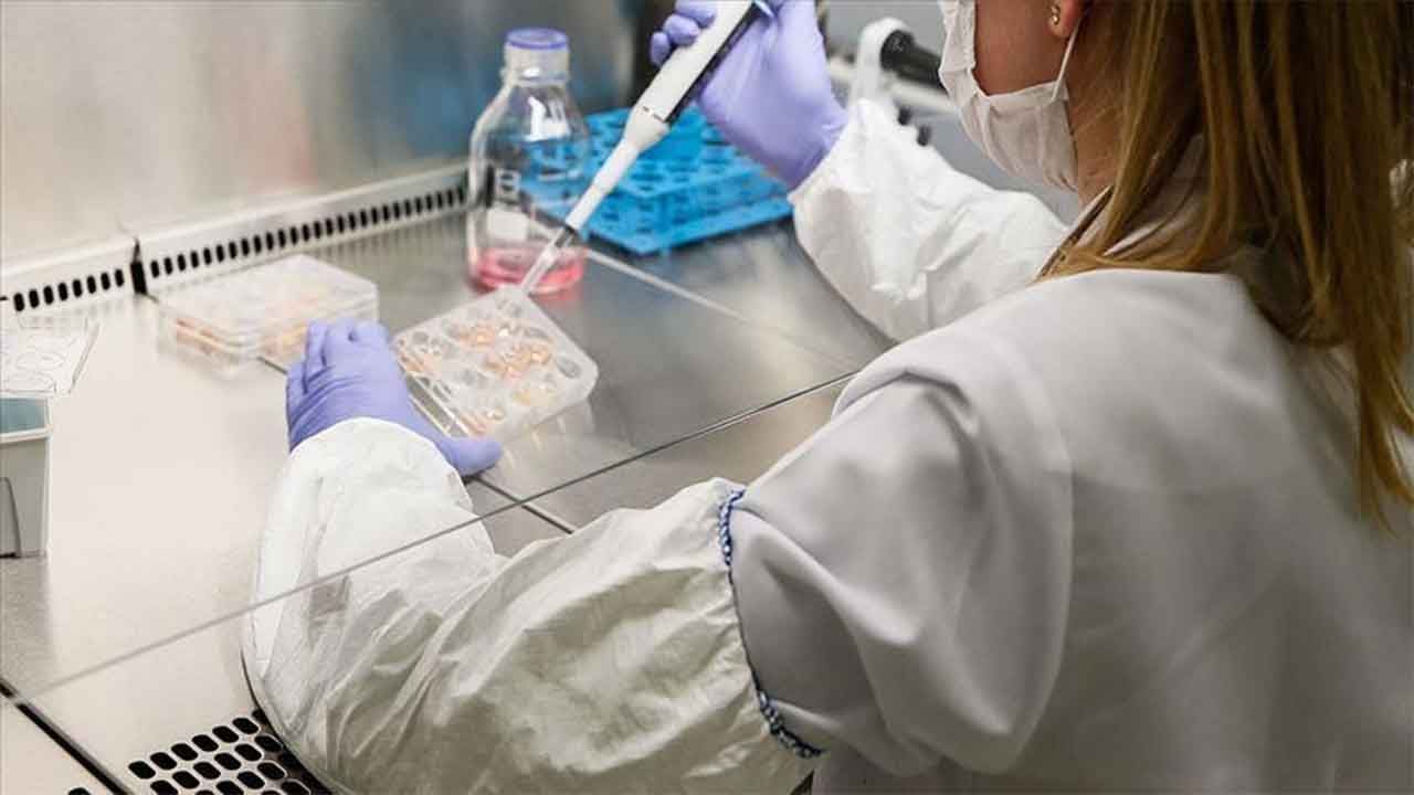 علماء روس يبتكرون علاجًا لنقل الأدوية إلى الدماغ عبر الأنف بأمان وكفاءة